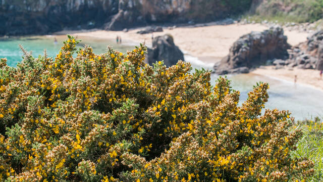 10 raisons qui vous feront adorer l'île d'Yeu au printemps 
