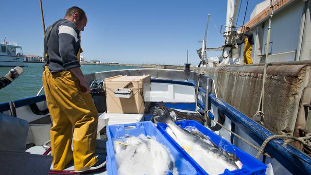 La pêche et l'agriculture