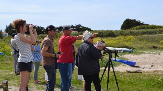 Sortie ornitho, visite du patrimoine de l'Ile d'Yeu © OT Ile d'Yeu