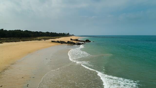 Plage des Conches, l'ile d'yeu / photographie© Pascal Biomez