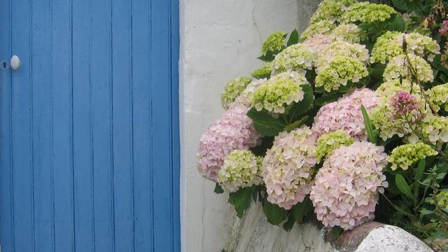 Offres de séjours et journées à L'ile d'Yeu