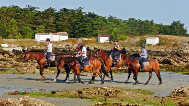 Equitation, Centre équestre les Violettes à l'Ile d'Yeu
