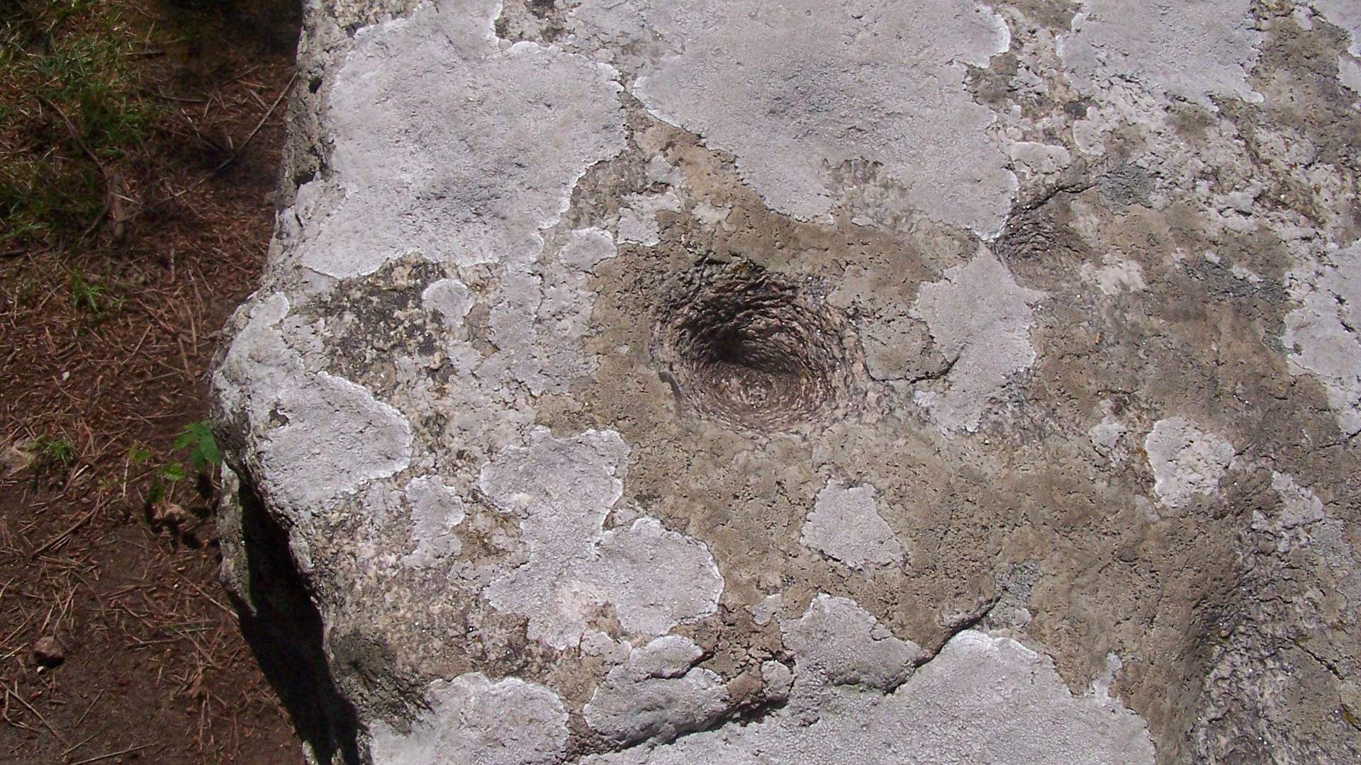 Cupules de la Roche aux Fras – Île d’Yeu