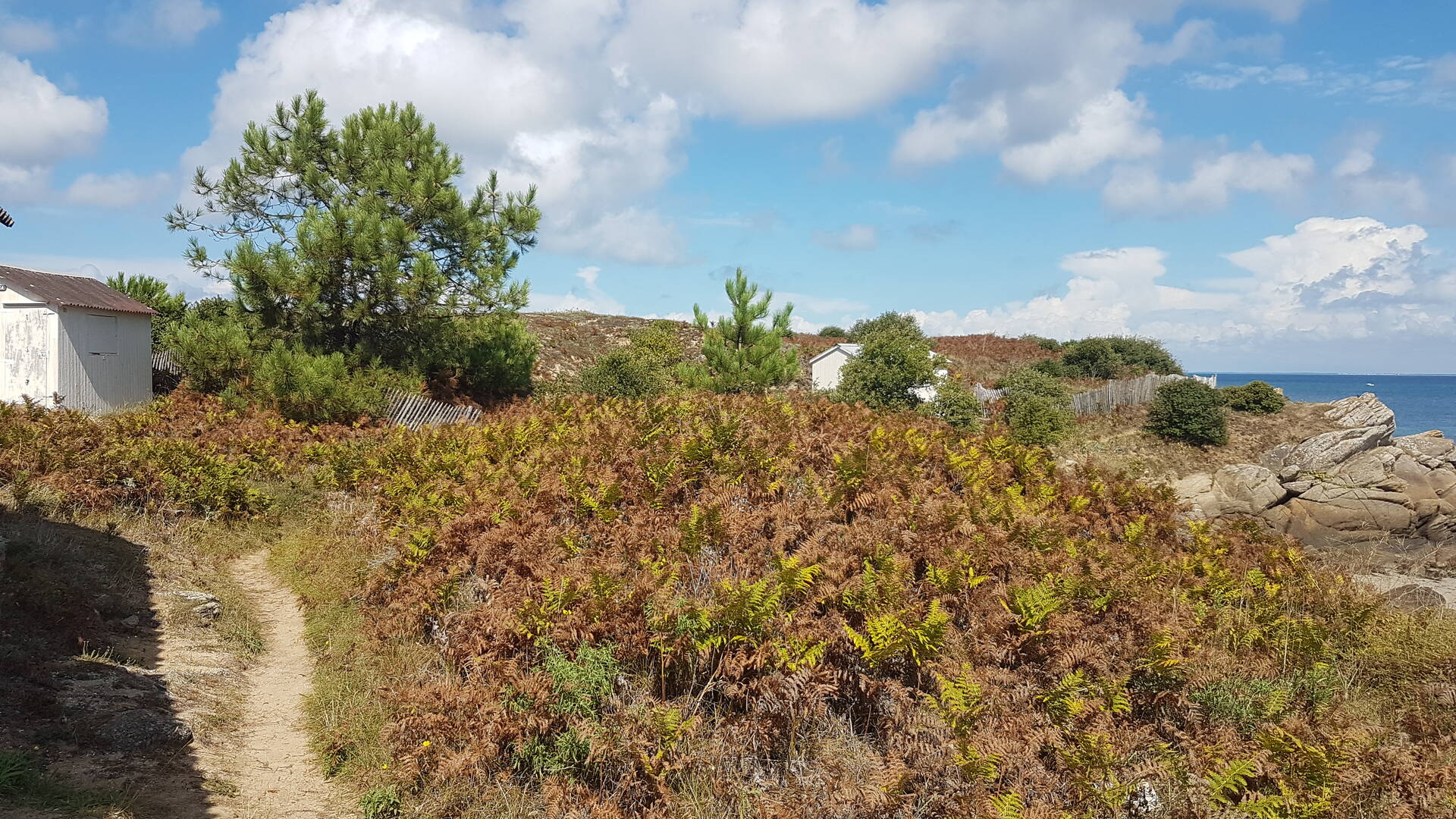 Pointe du Porteau - Marais Salé - L'ile d'Yeu