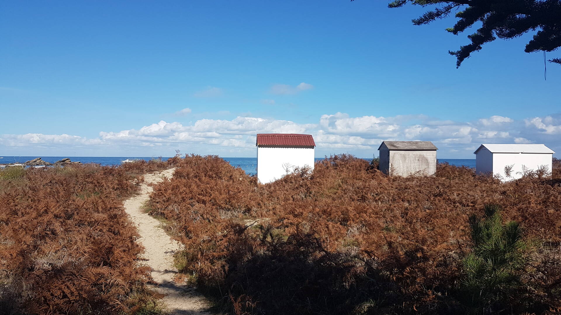 Les cabanes de la Plage des Sapins - L'ile d'yeu