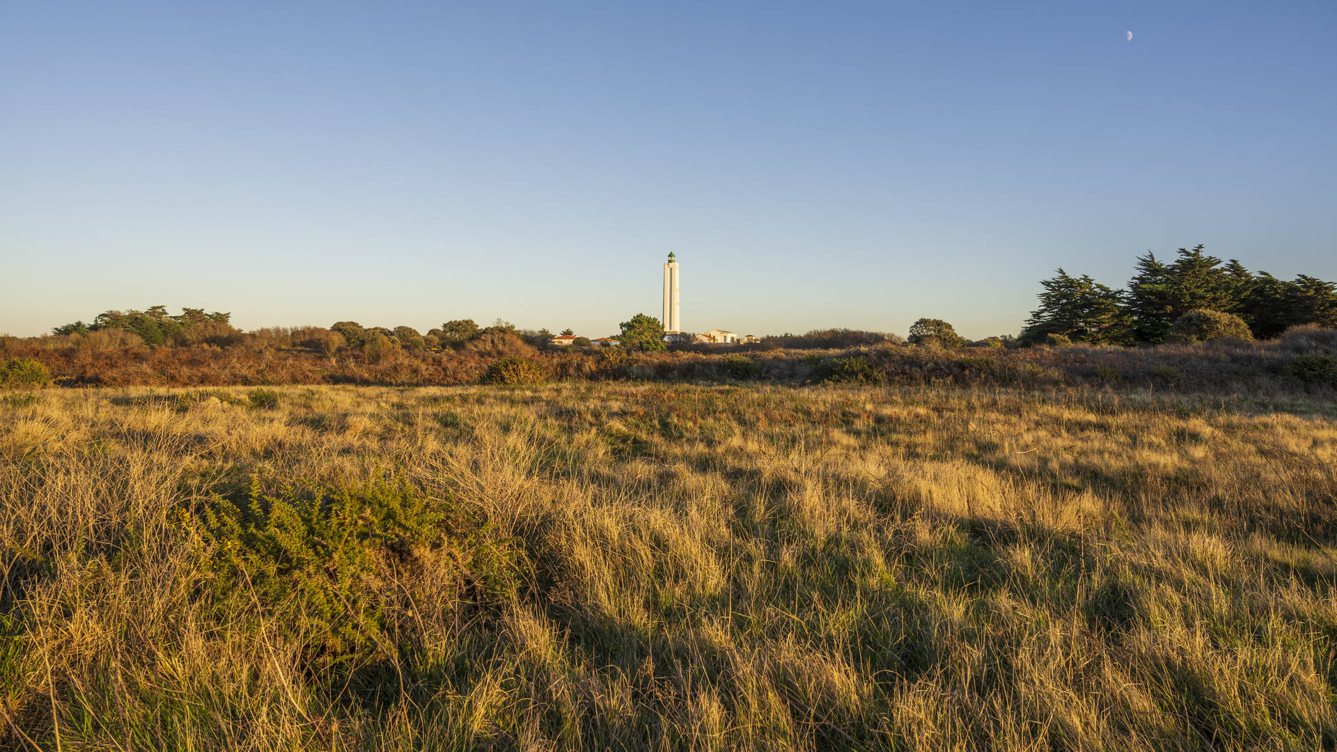 Le Grand Phare - L'ile d'yeu 