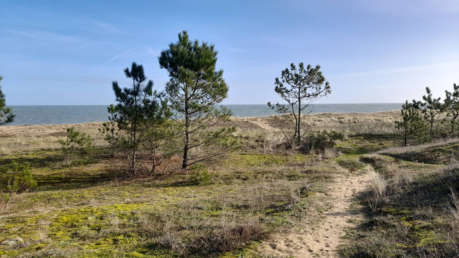 Les Conches Chemin de randonnée