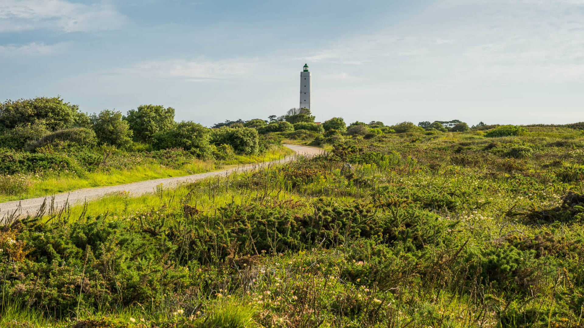 Le Grand Phare - île d'Yeu 