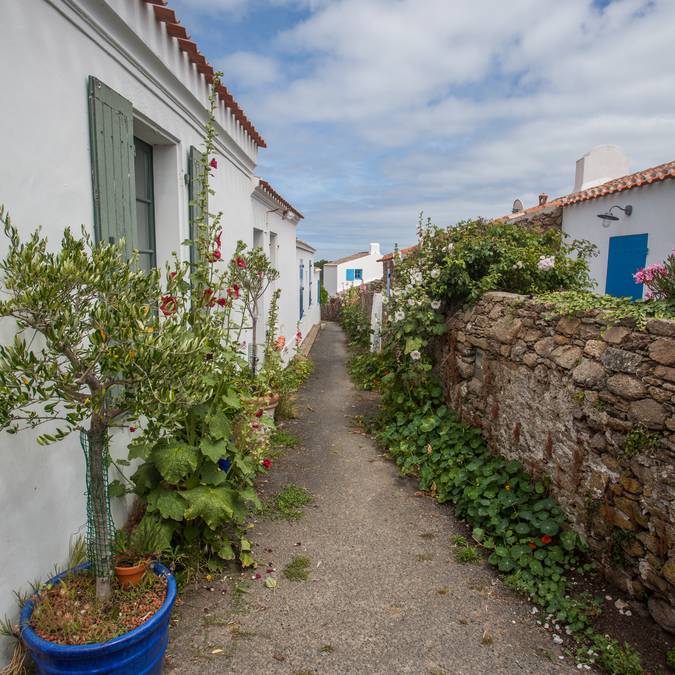 rues de Saint Sauveur, Ile d'Yeu 