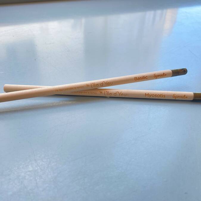 Stylo graine (2.5 €) 