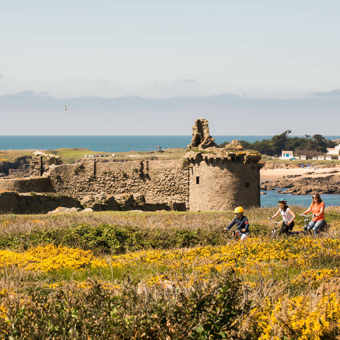 L'île d'Yeu à vélo ©Simon_Bourcier_Vendee Expansion 